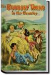 The Bobbsey Twins in the Country | Laura Lee Hope
