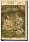 The Bobbsey Twins at Meadow Brook | Laura Lee Hope