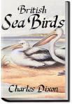British Sea Birds | Charles Dixon