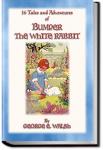 Bumper, The White Rabbit | George Ethelbert Walsh