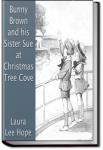 Bunny Brown and His Sister Sue at Christmas Tree Cove | Laura Lee Hope