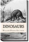 Dinosaurs | William Diller Matthew