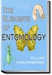The Elements of Entomology | William Ruschenberger