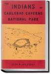 The Indians of Carlsbad Caverns National Park | Jack R. Williams
