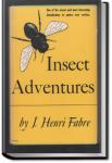 Insect Adventures | Jean-Henri Fabre and Louise Hasbrouck Zimm