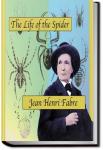 The Life of the Spider | Jean-Henri Fabre