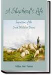 A Shepherd's Life | W. H. Hudson
