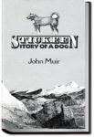 Stickeen | John Muir