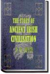 The Story of Ancient Irish Civilization | P. W. Joyce