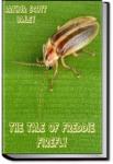 The Tale of Freddie Firefly | Arthur Scott Bailey