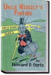 Uncle Wiggily's Fortune | Howard Garis