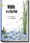 Wildlife in a City Pond | Pratham Books