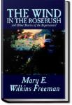 The Wind In The Rose-Bush | Mary E. Wilkins Freeman