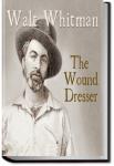 The Wound Dresser | Walt Whitman