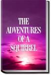 The Adventures of a Squirrel, Supposed to be Relat | Anonymous