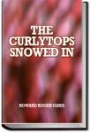 The Curlytops Snowed In | Howard Roger Garis