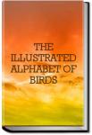 The Illustrated Alphabet of Birds | 