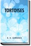 Tortoises | D. H. Lawrence