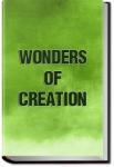 Wonders of Creation | Anonymous