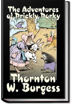 The Adventures of Prickly Porky | Thornton W. Burgess