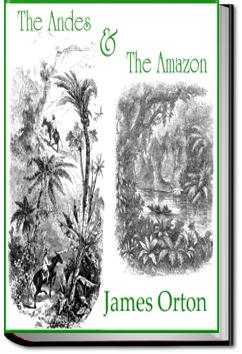 The Andes and the Amazon | James Orton