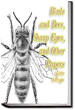 Birds and Bees, Sharp Eyes and Other Papers | John Burroughs