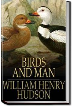 Birds and Man | W. H. Hudson