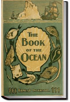The Book of the Ocean | Ernest Ingersoll