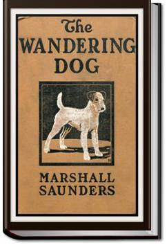"Boy" The Wandering Dog | Marshall Saunders