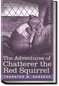 The Adventures of Chatterer the Red Squirrel | Thornton W. Burgess
