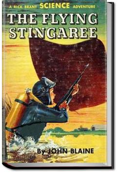The Flying Stingaree | Harold L. Goodwin