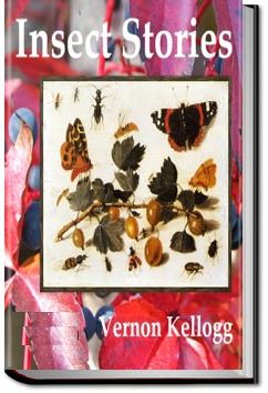 Insect Stories | Vernon L. Kellogg