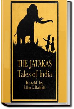 Jataka Tales | Ellen Babbitt