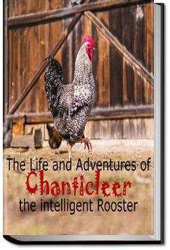 The Life and Adventures of Chanticleer | 