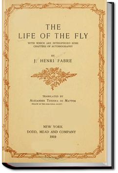 The Life Of The Fly Jean Henri Fabre Audiobook And