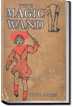 The Magic Wand | Tudor Jenks