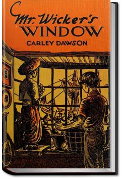 Mr. Wicker's Window | Carley Dawson