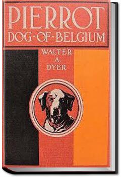 Pierrot - A Dog of Belgium | Walter Alden Dyer
