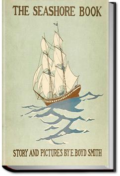 The Seashore Book | E. Boyd Smith