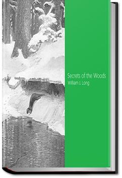 Secrets of the Woods | William J. Long
