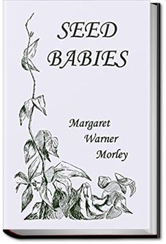 Seed Babies | Margaret Warner Morley