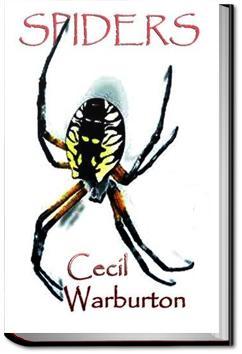 Spiders | Cecil Warburton
