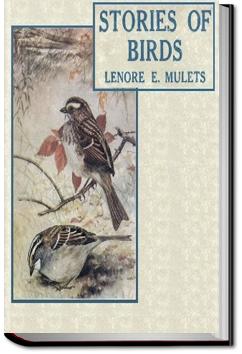 Stories of Birds | Lenore Elizabeth Mulets