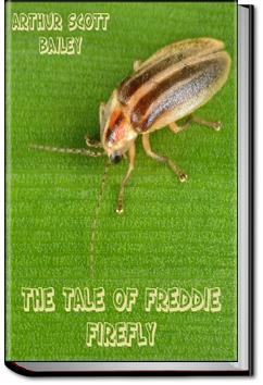 The Tale of Freddie Firefly | Arthur Scott Bailey