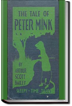The Tale of Peter Mink | Arthur Scott Bailey