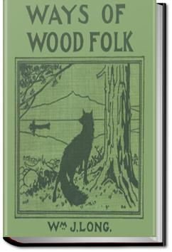 Ways of Wood Folk | William J. Long