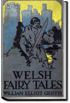 Welsh Fairy Tales | William Elliot Griffis