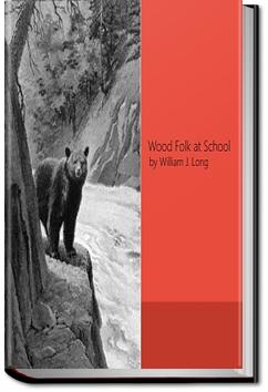 Wood Folk at School | William J. Long