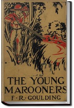The Young Marooners on the Florida Coast | Francis Robert Goulding