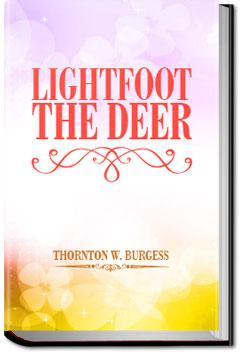 Lightfoot the Deer | Thornton W. Burgess